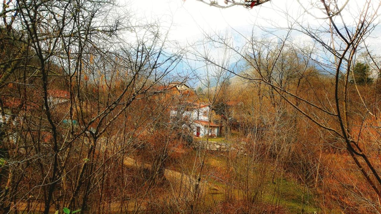 Hotel Rural La Tahona De Besnes اريناس دي كابراليس المظهر الخارجي الصورة
